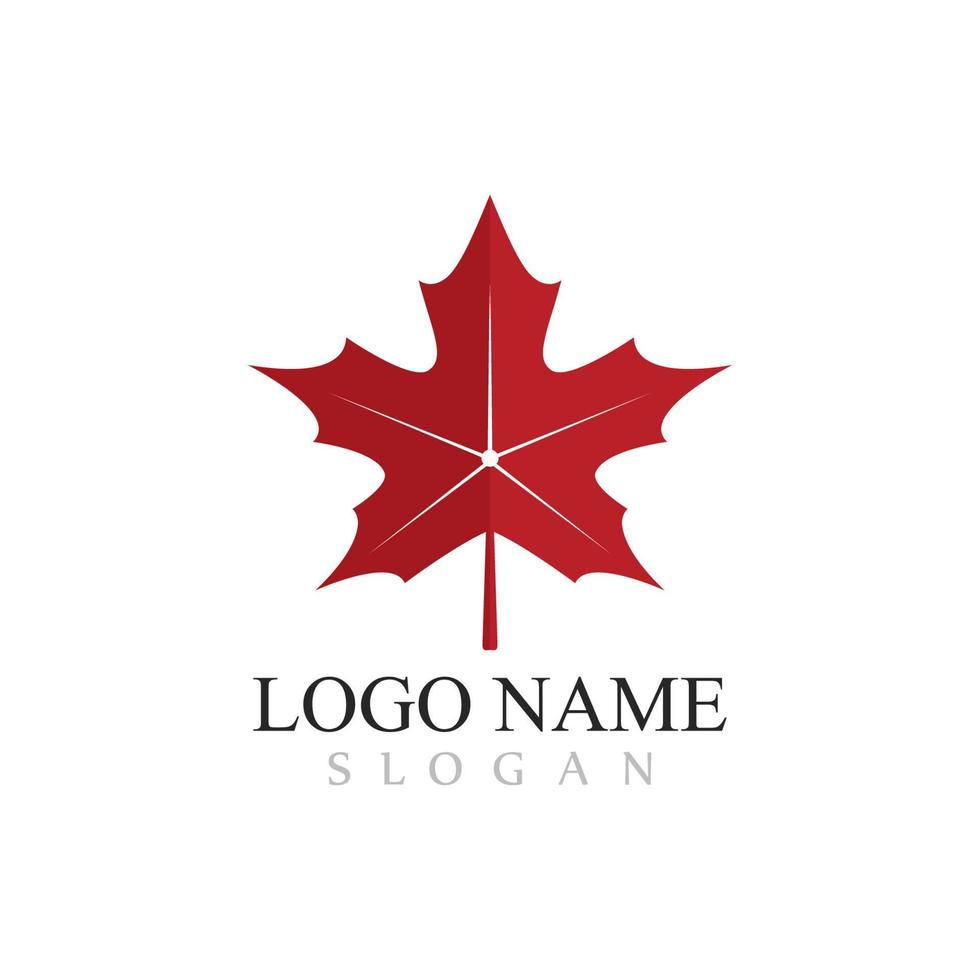 Maple leaf logo template vector icon illustration