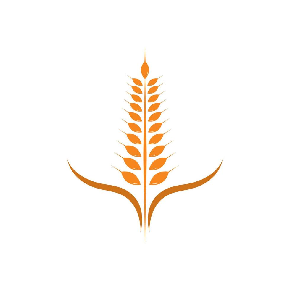 icono de vector de plantilla de logotipo de trigo de agricultura