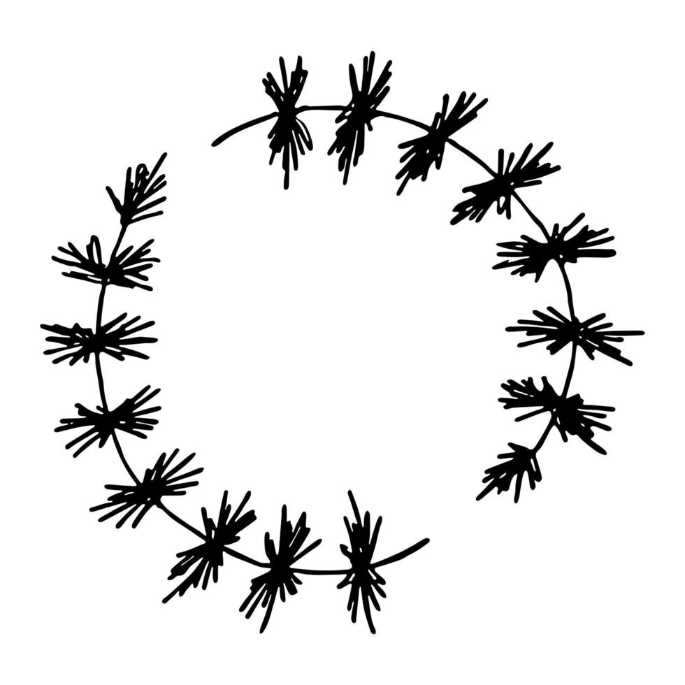 marco dibujado a mano de ramas de abeto. ramita de garabato de árbol de coníferas. elemento de diseño de navidad e invierno vector