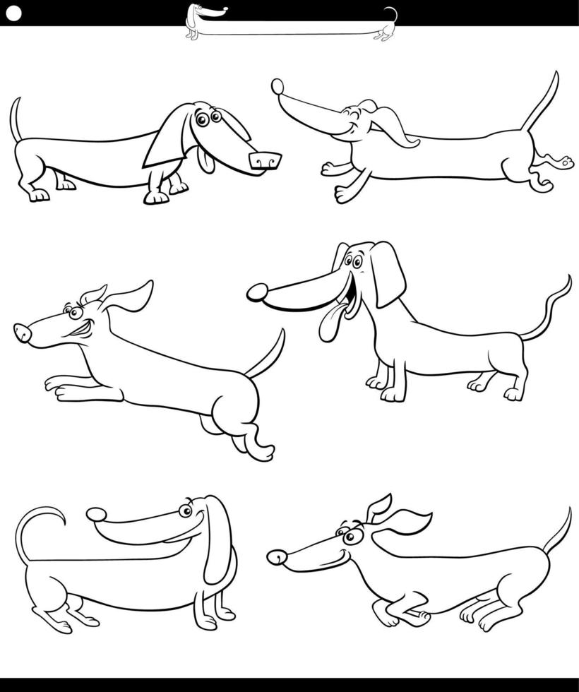 caricatura, dachshunds, purebred, perros, conjunto, colorido, página vector