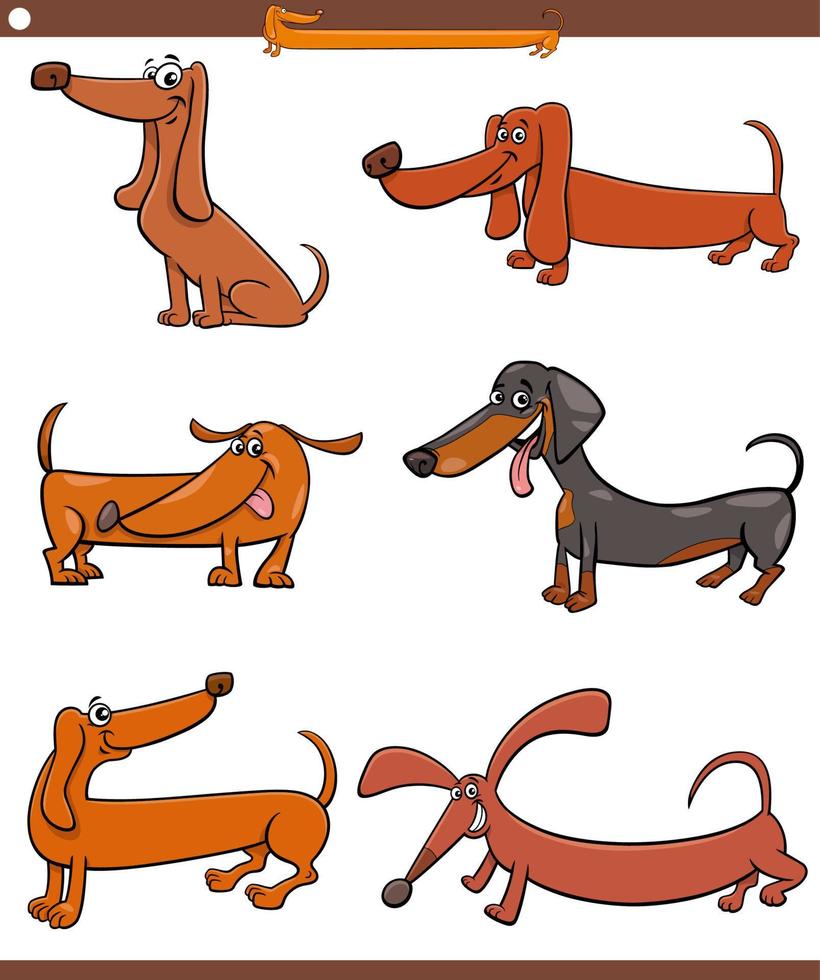 dibujos animados dachshunds perros de raza pura conjunto de personajes de animales vector