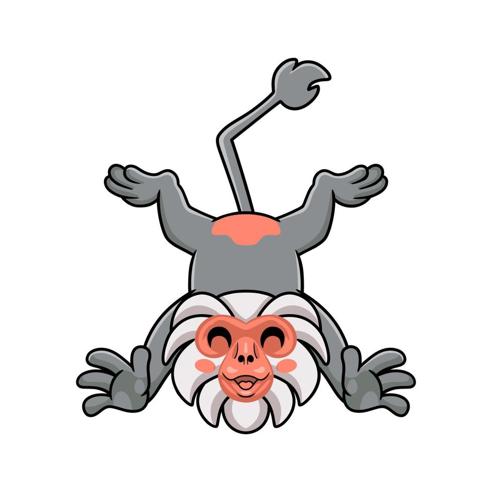 Cute little hamadryad monkey cartoon posing vector