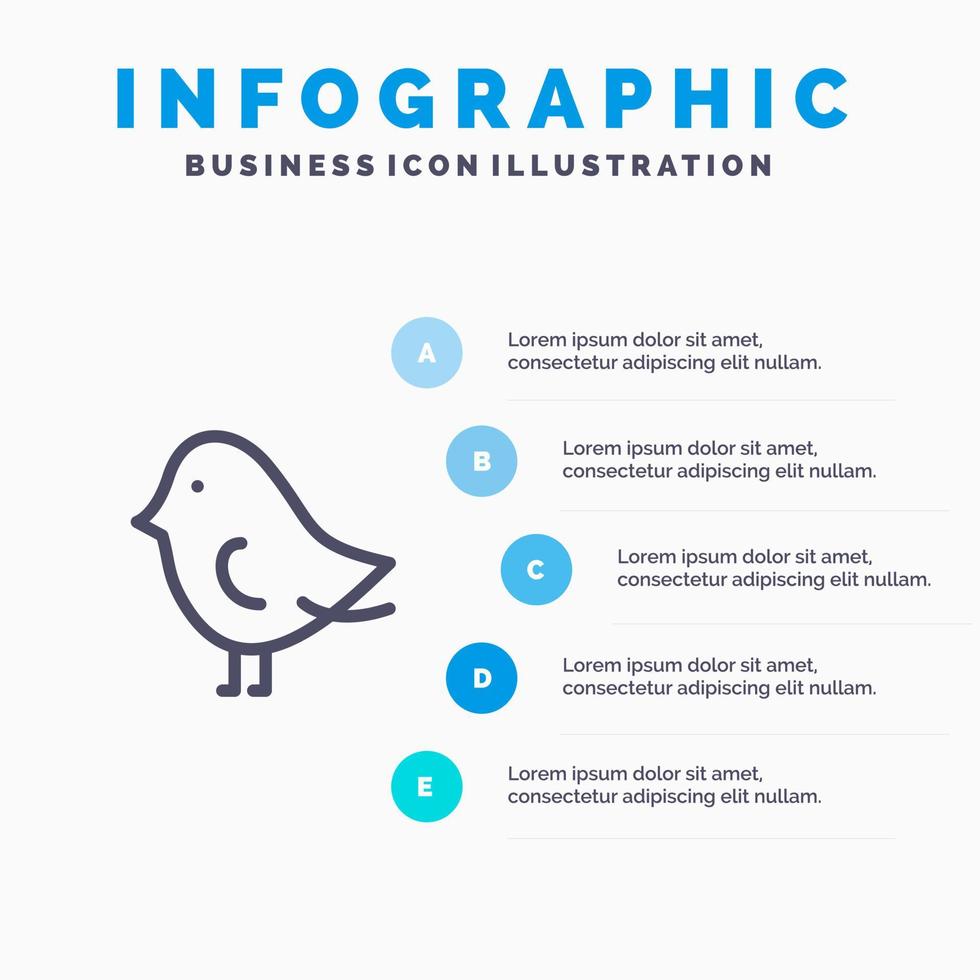 pájaro, pascua, naturaleza, línea, icono, con, 5 pasos, presentación, infografía, plano de fondo vector