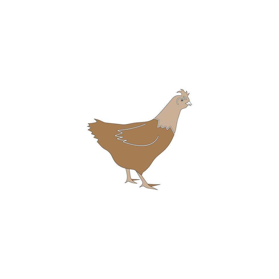 hen vector design