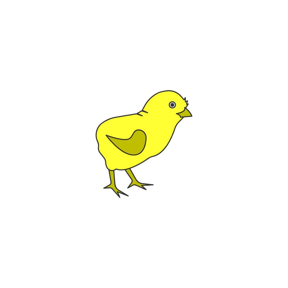 chick vector design