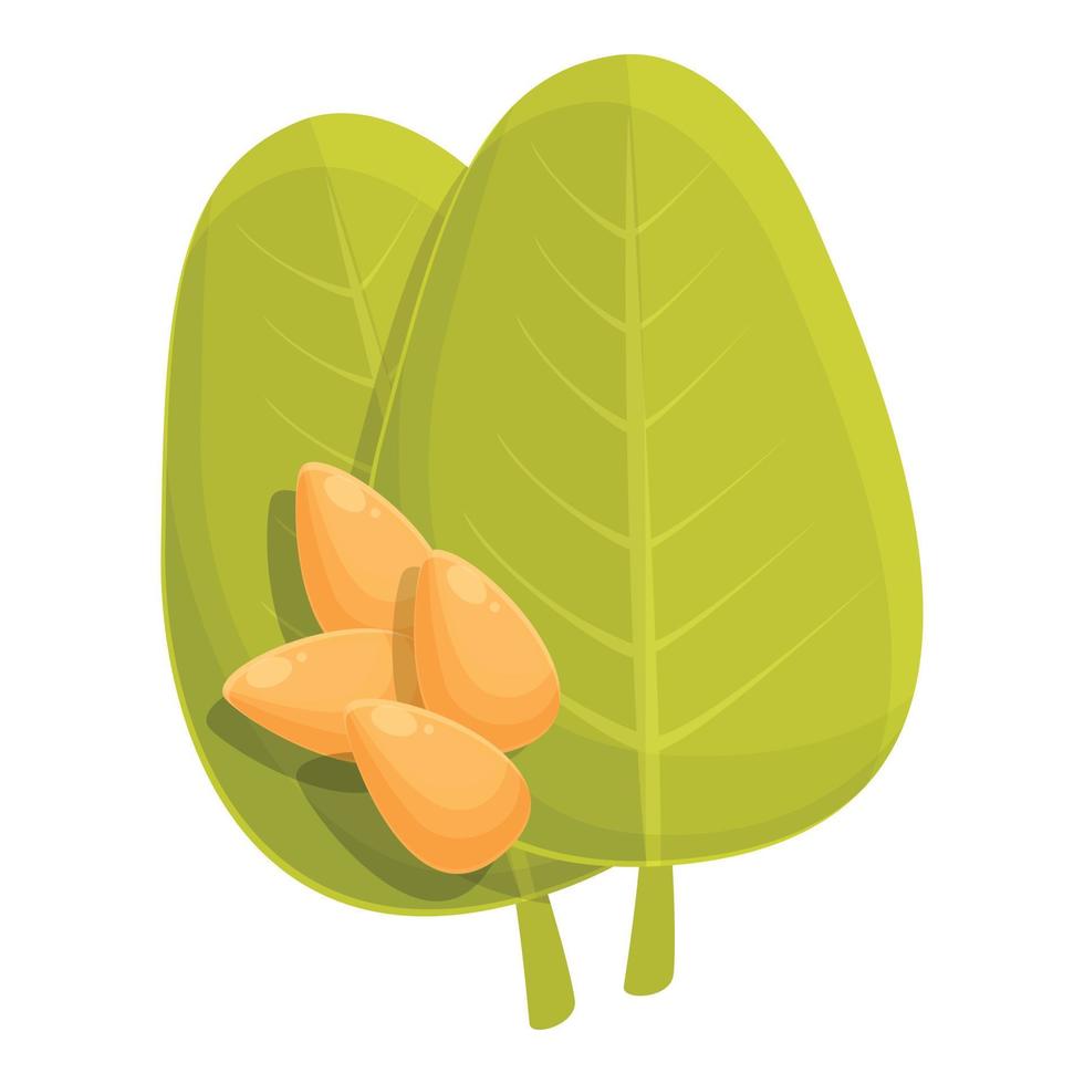 vector de dibujos animados de icono de hoja de maní. remolino de caramelo