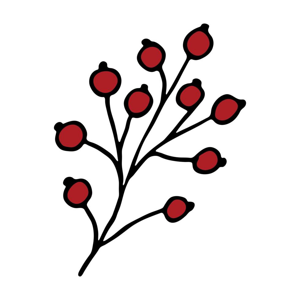 Hand drawn winter branch with berries clipart. Christmas doodle. Single design element vector