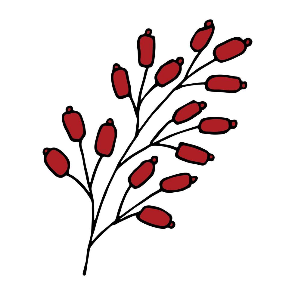 rama de invierno dibujada a mano con imágenes prediseñadas de bayas. garabato de navidad. elemento de diseño único vector