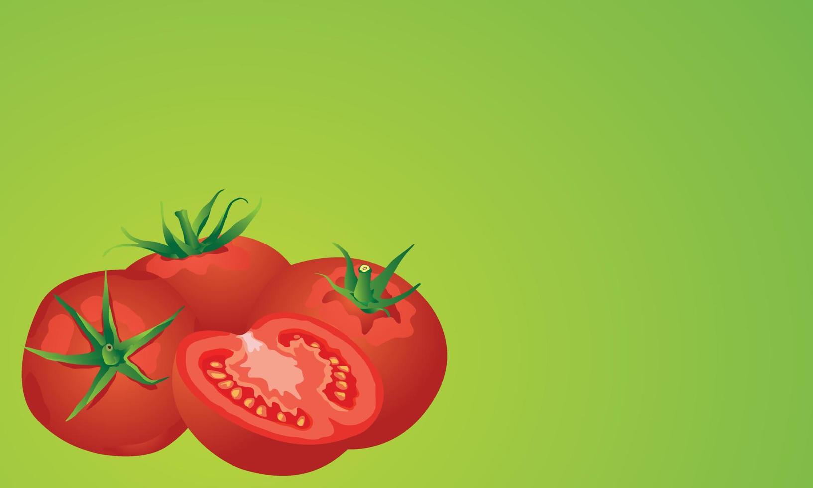 fresh tomatoes vector on green background