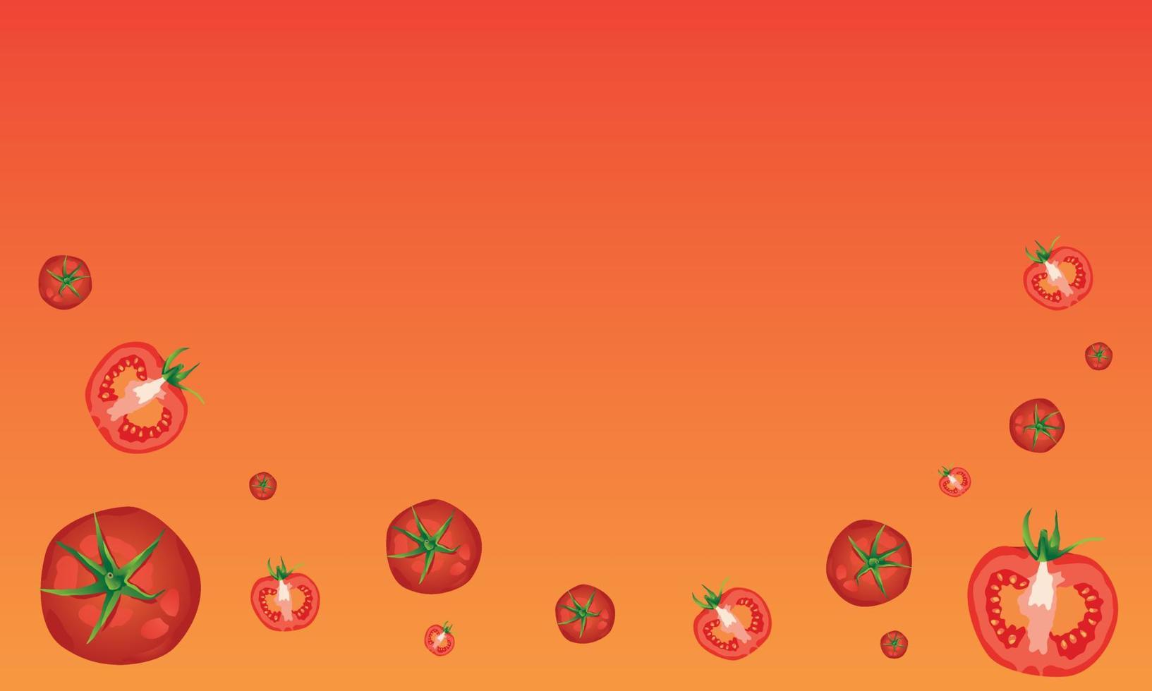 Top view of fresh tomatoes vector on background