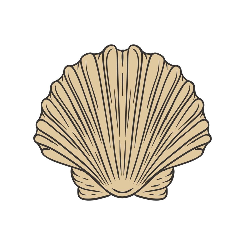 Shell Hand Drawn Vector Illustration