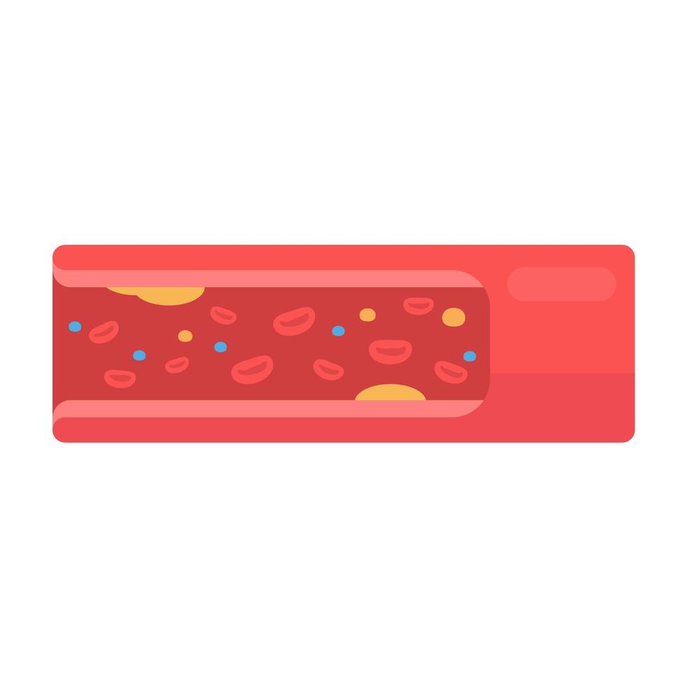 coronary arteries with accumulated fat in the body vector