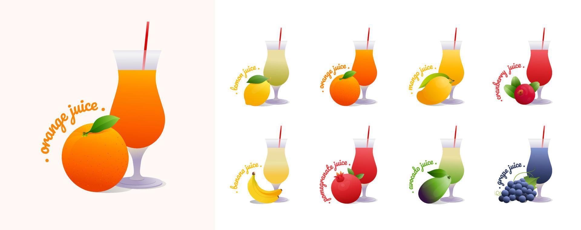 Set of tropical fruit juices in glass bottle Illustration isolated on white background vector