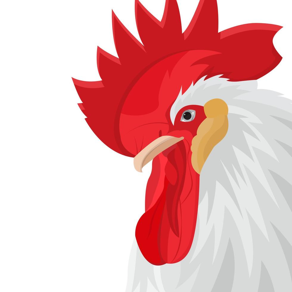 Rooster Vector Illustration Isolated White Background 14829716 Vector ...