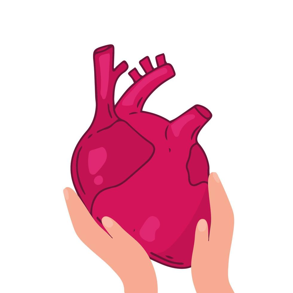 Heart vector design. Realistic anatomy pictures. Human body internal organs,