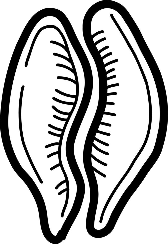 seashell. vector illustration in doodle style