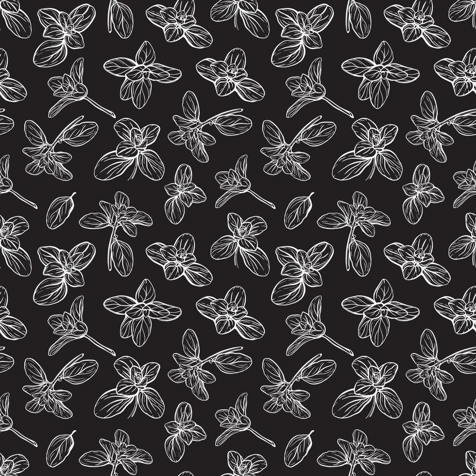 Basil Pattern. Italian herbs.A sprig of marjoram vector