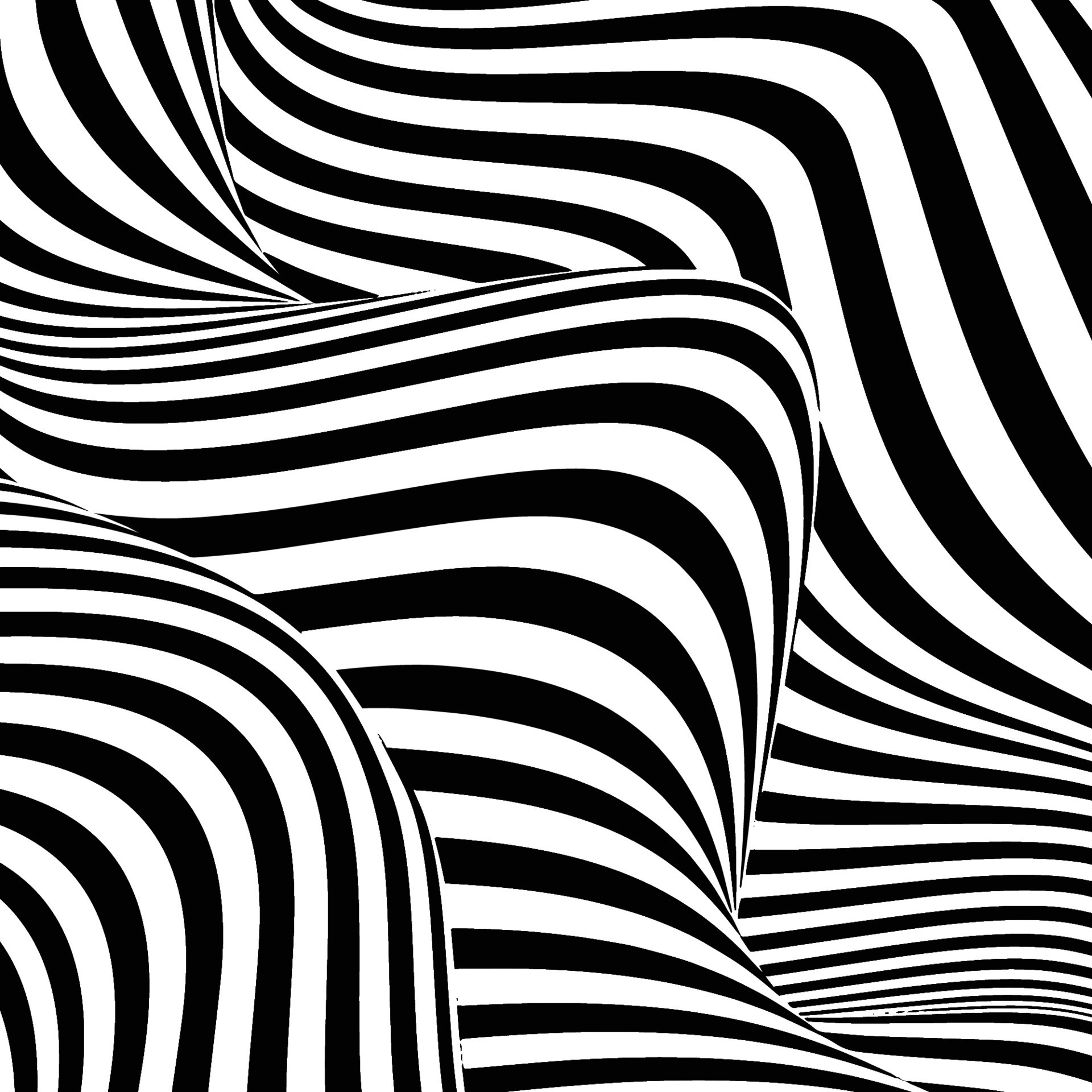 Optical illusion lines background. Abstract 3d black and white