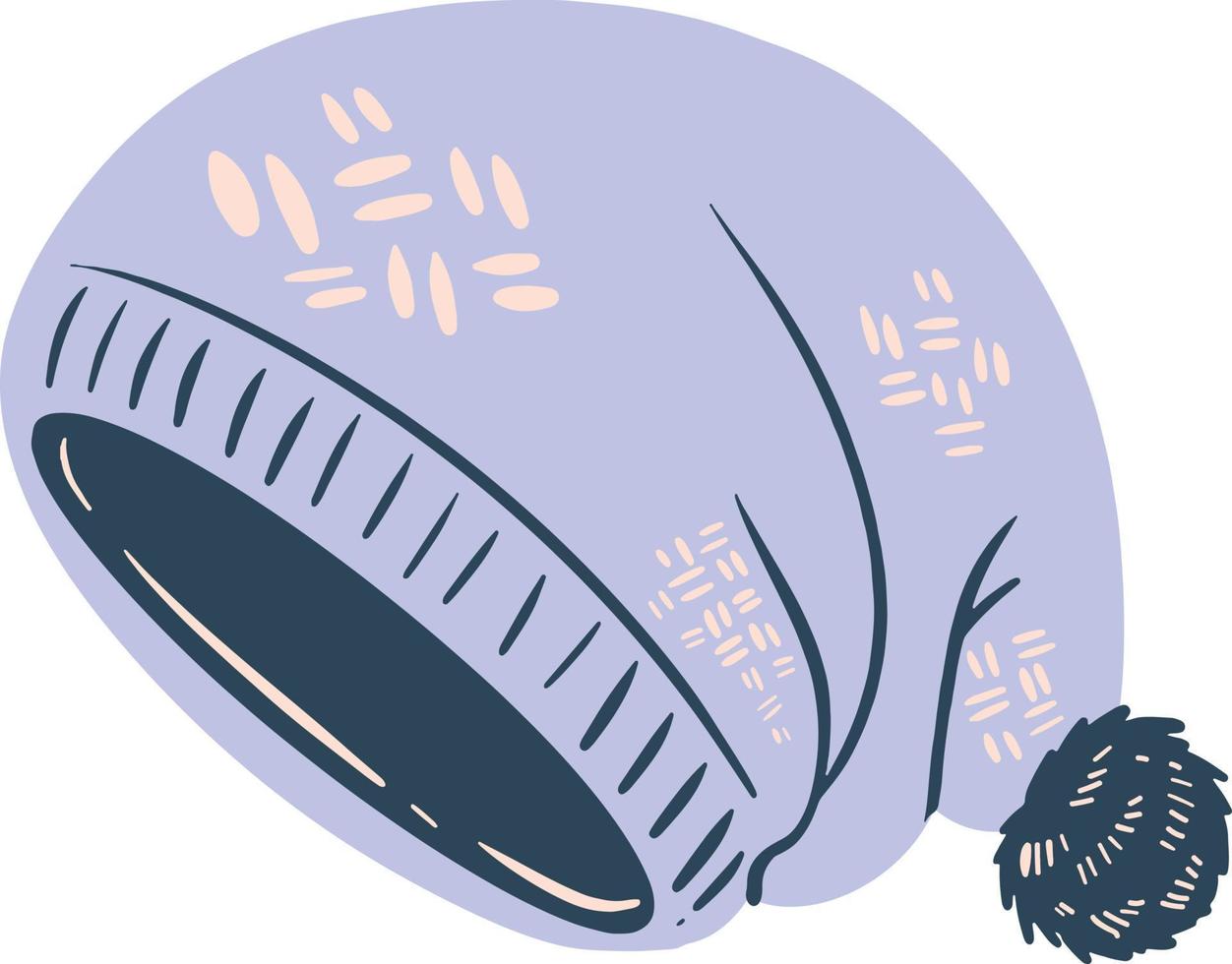 A warm winter beanie illustration vector