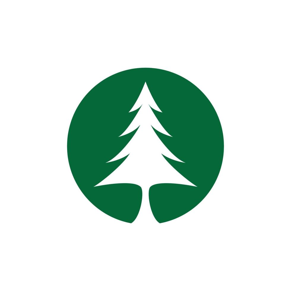 Pine tree vector icon