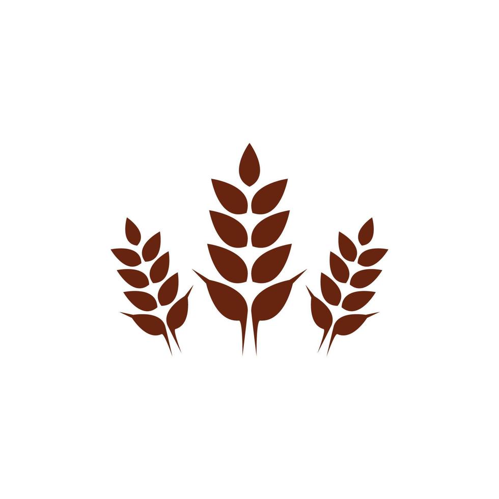 Wheat symbol vector icon illustration