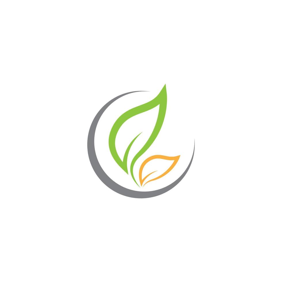 Tree leaf symbol vector icon