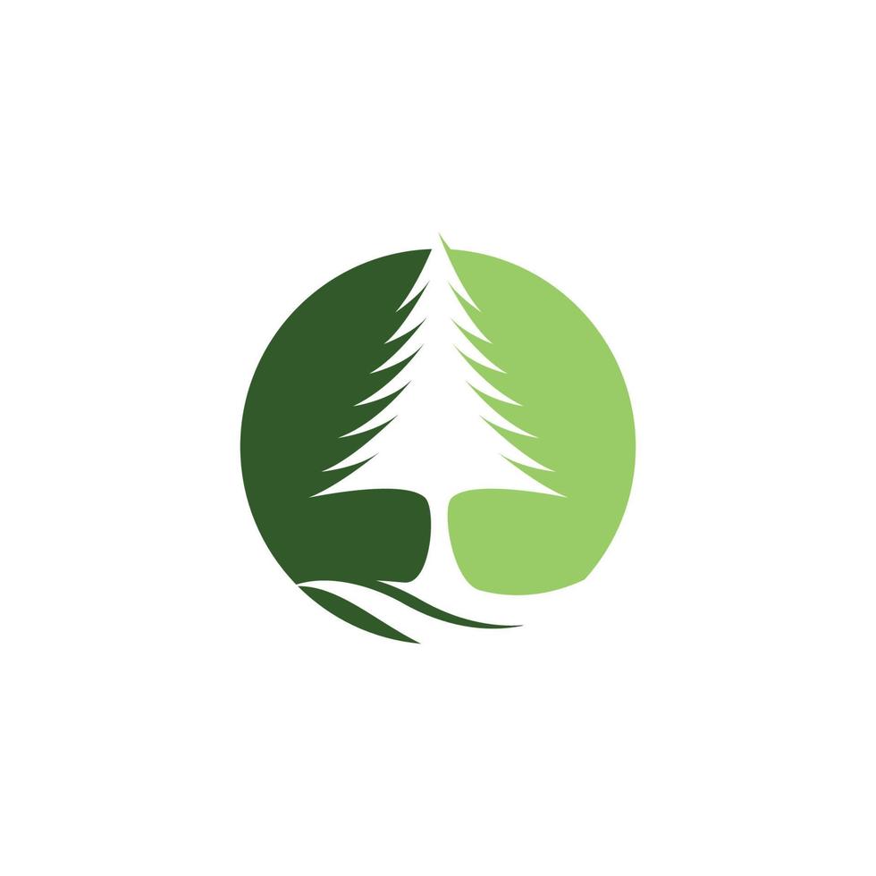 Pine tree vector icon illustration
