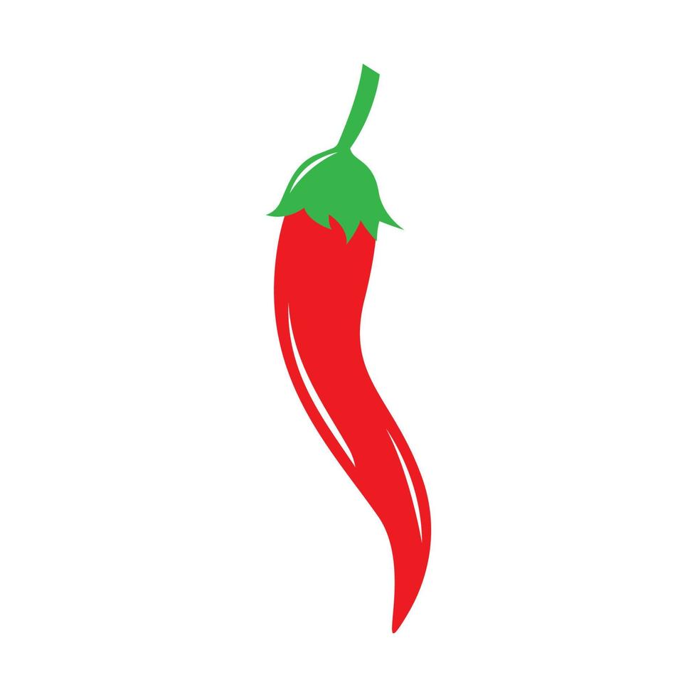 Chili images illustration vector