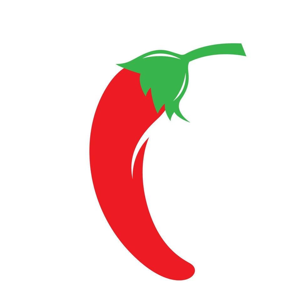 Chili images illustration vector