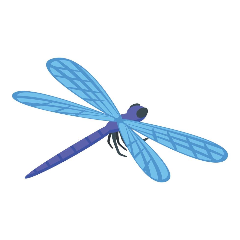 Blue wing dragonfly icon isometric vector. Fly insect vector