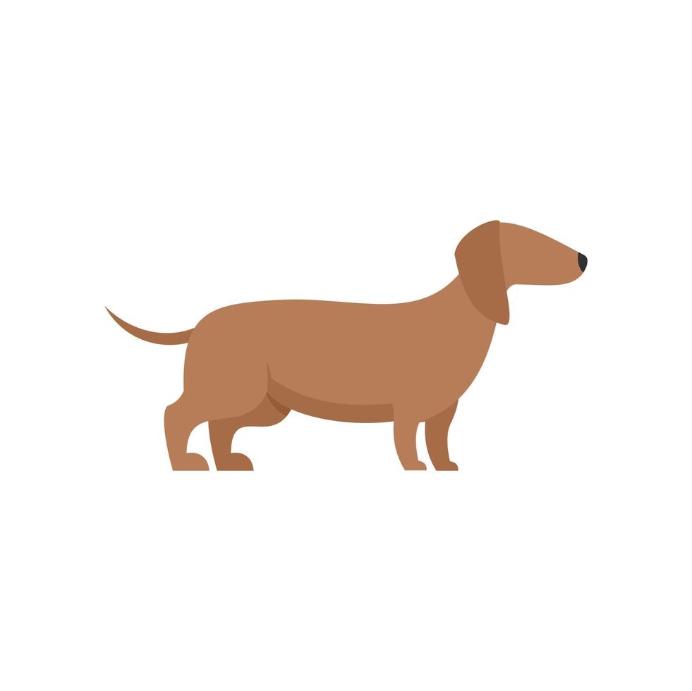 icono de perro largo vector aislado plano