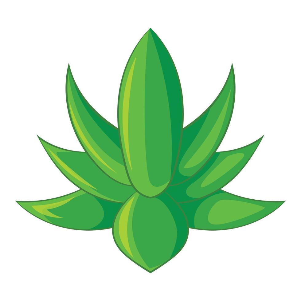 Big agave icon, cartoon style vector