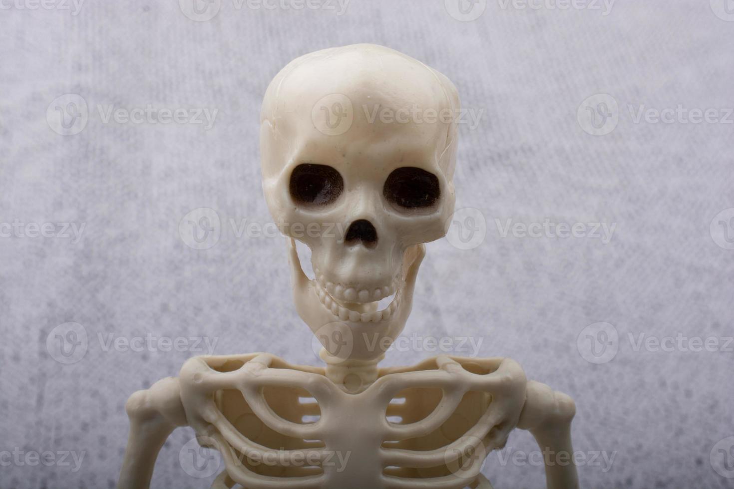 Human skeleton model posing for medical anatomy science photo