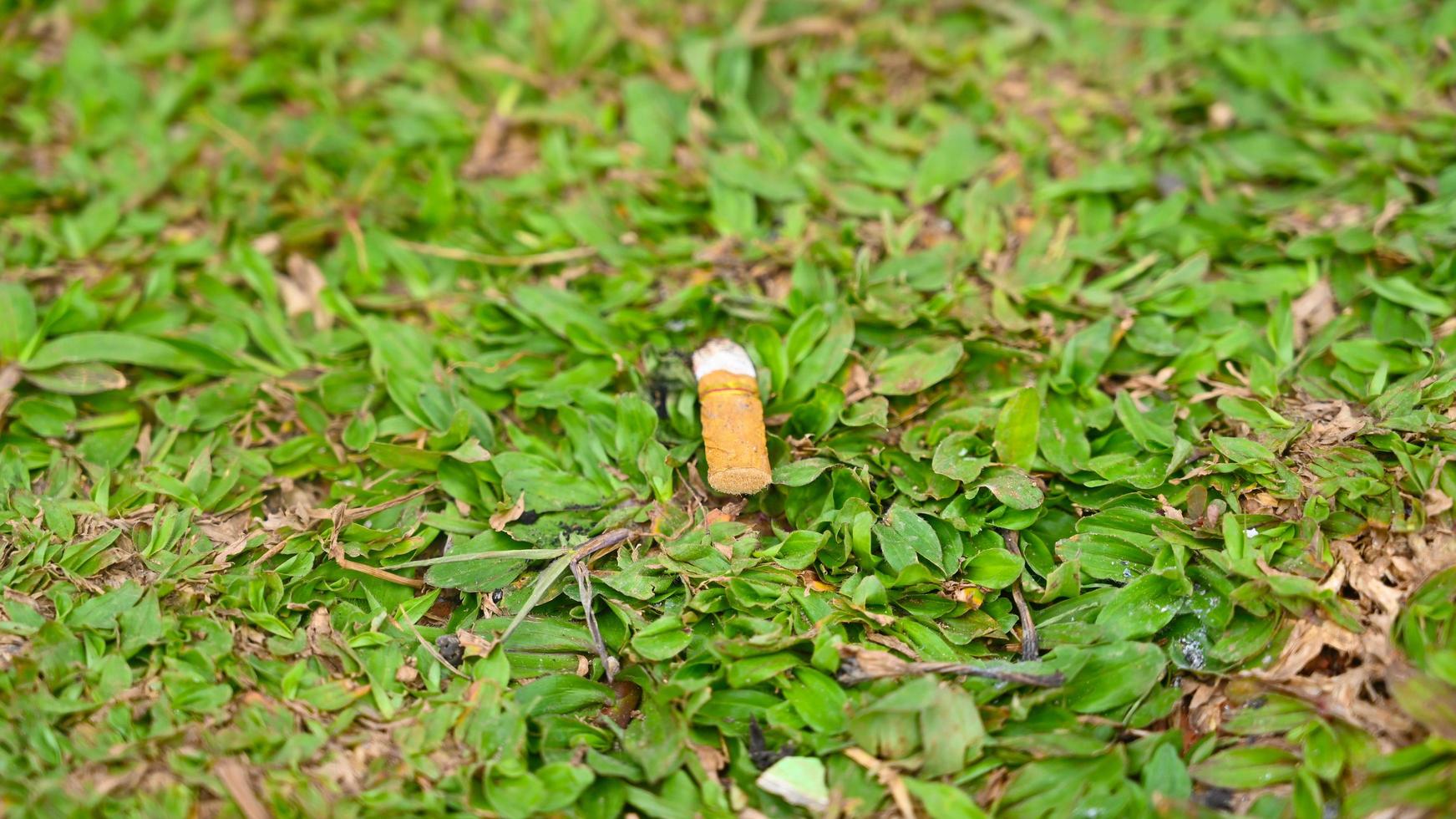 a piece of cigarette butt on the grass photo