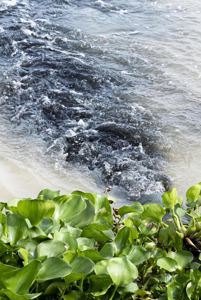 Waste water from industrial sewers into river photo