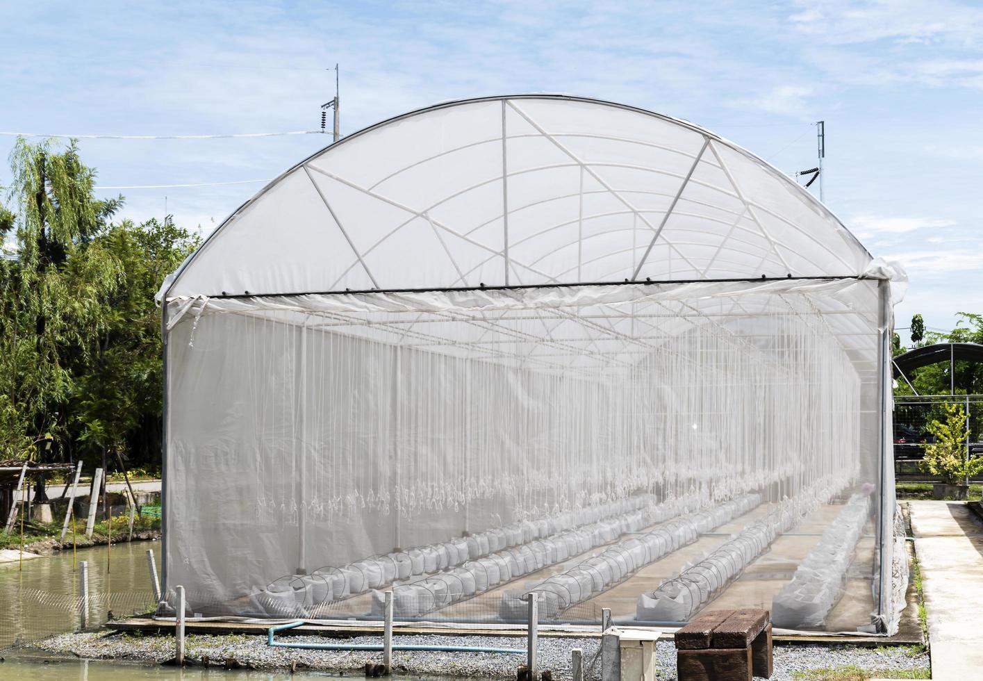 Outside view greenhouse for growing vegetables and fruits photo