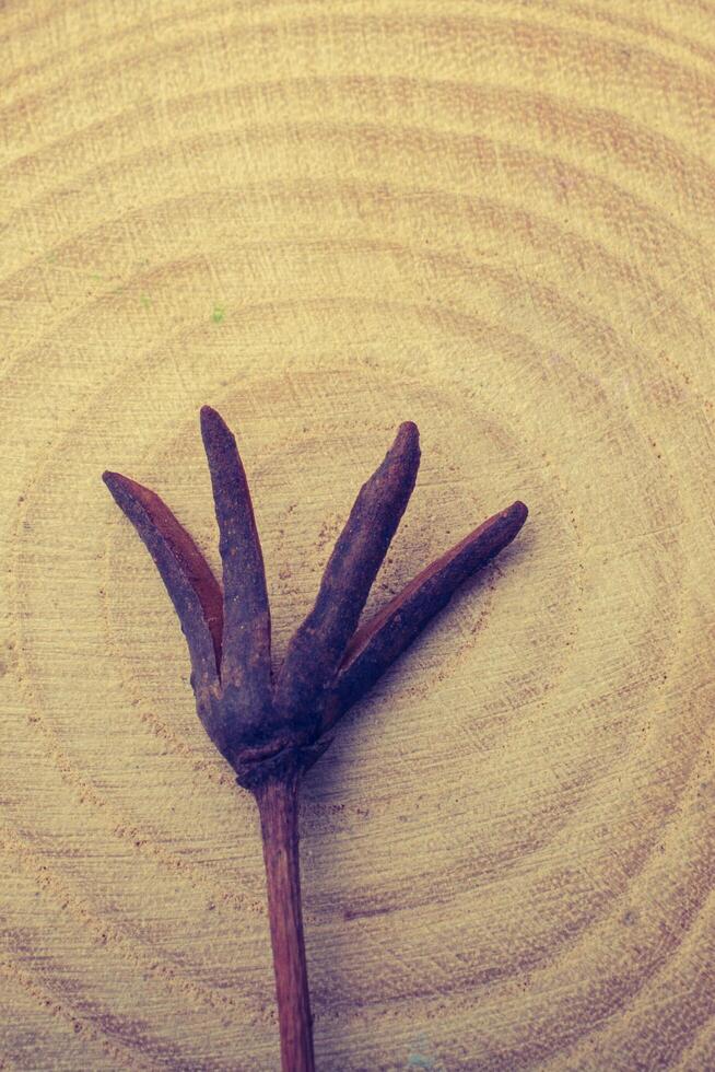 Antique Arrow Stock Photos, Images and Backgrounds for Free Download
