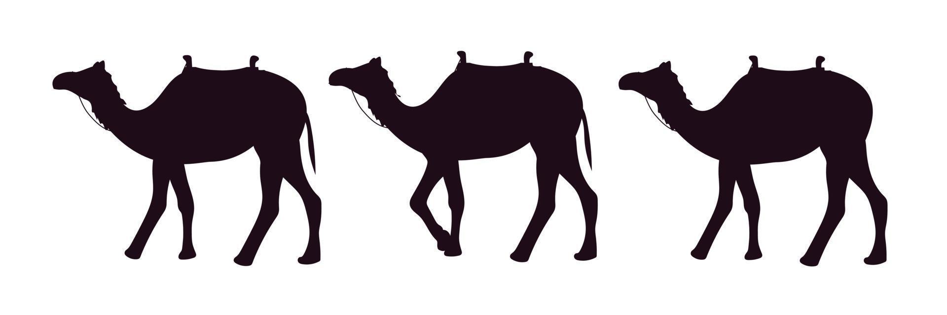 Set of silhouette of three camels. Vector illustration.