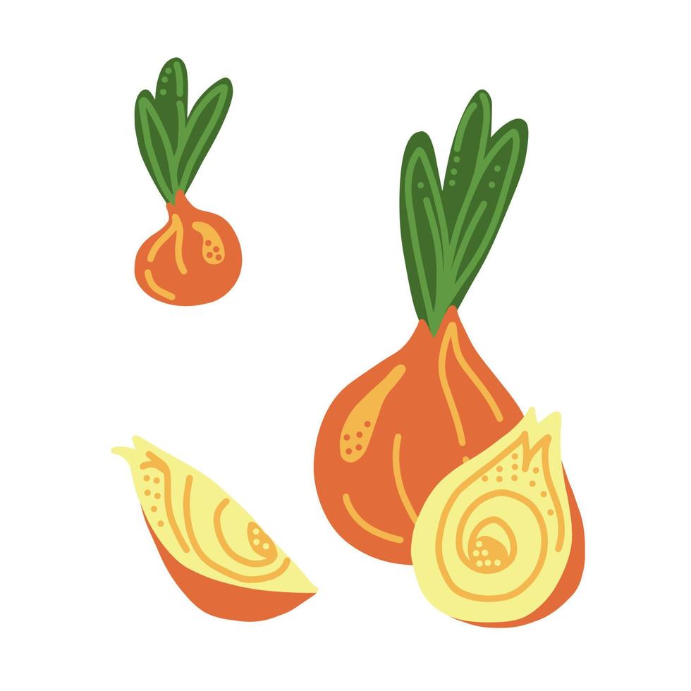 Onion vegetable cartoon vector