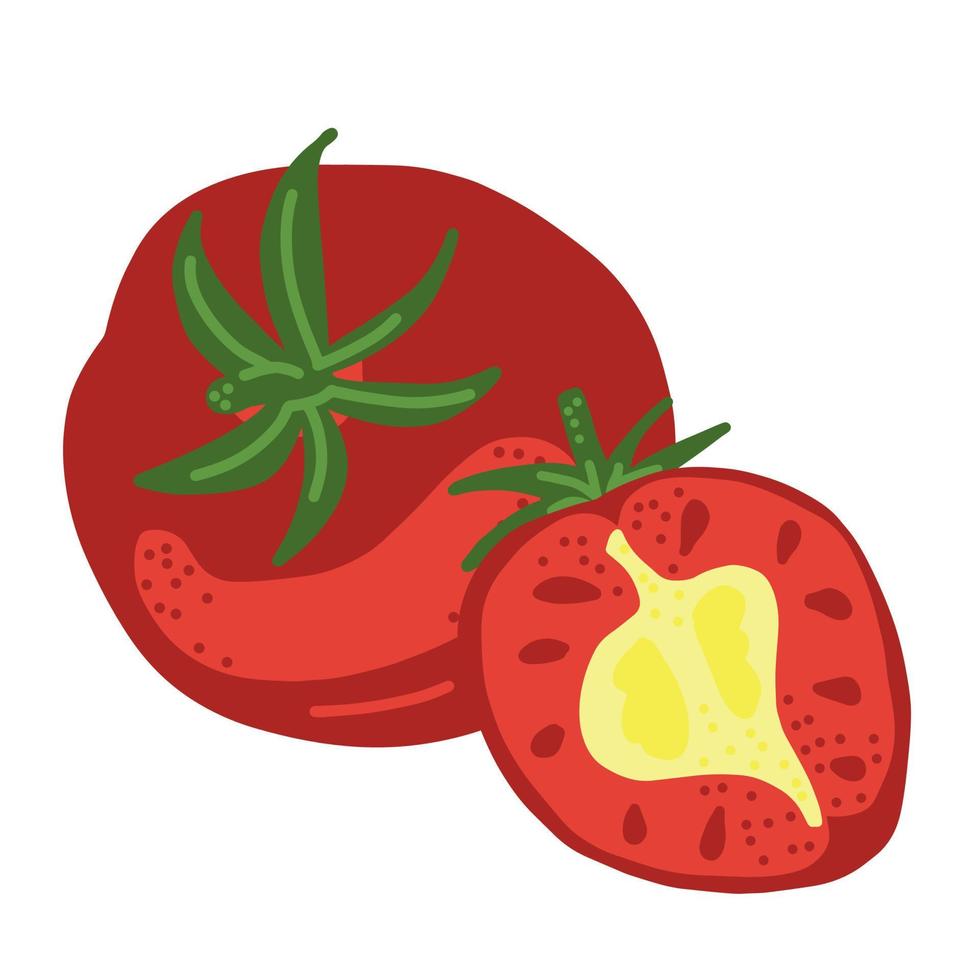 Tomato. Whole and half tomato. Good for posters, package, t-shirts, postcards, shopping bags. Vector hand draw cartoon illustration.