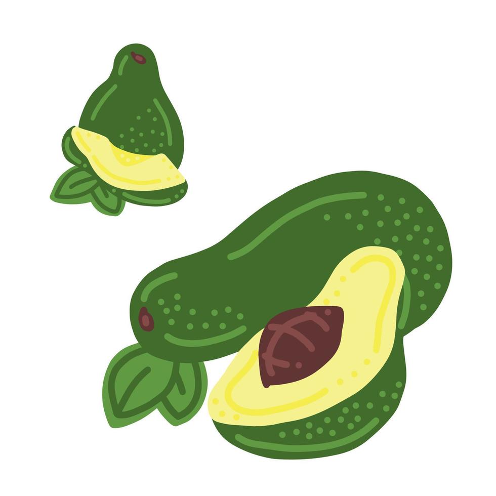 Avocado. Whole, half, slice and icon. Good for posters, package, t-shirts, postcards, shopping bags. Vector hand draw cartoon illustration.