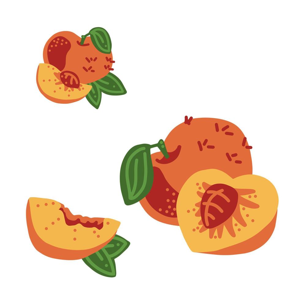 Peach. Whole, half, slice, leafs and icon. Good for posters, package, t-shirts, postcards, shopping bags. Vector hand draw cartoon illustration.