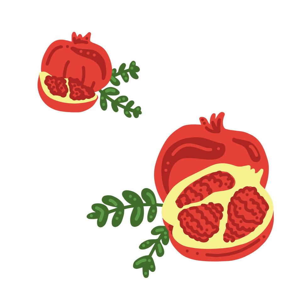 Garnet. Whole, half, slice and leafs. Good for posters, package, t-shirts, postcards, shopping bags. Vector hand draw cartoon illustration.
