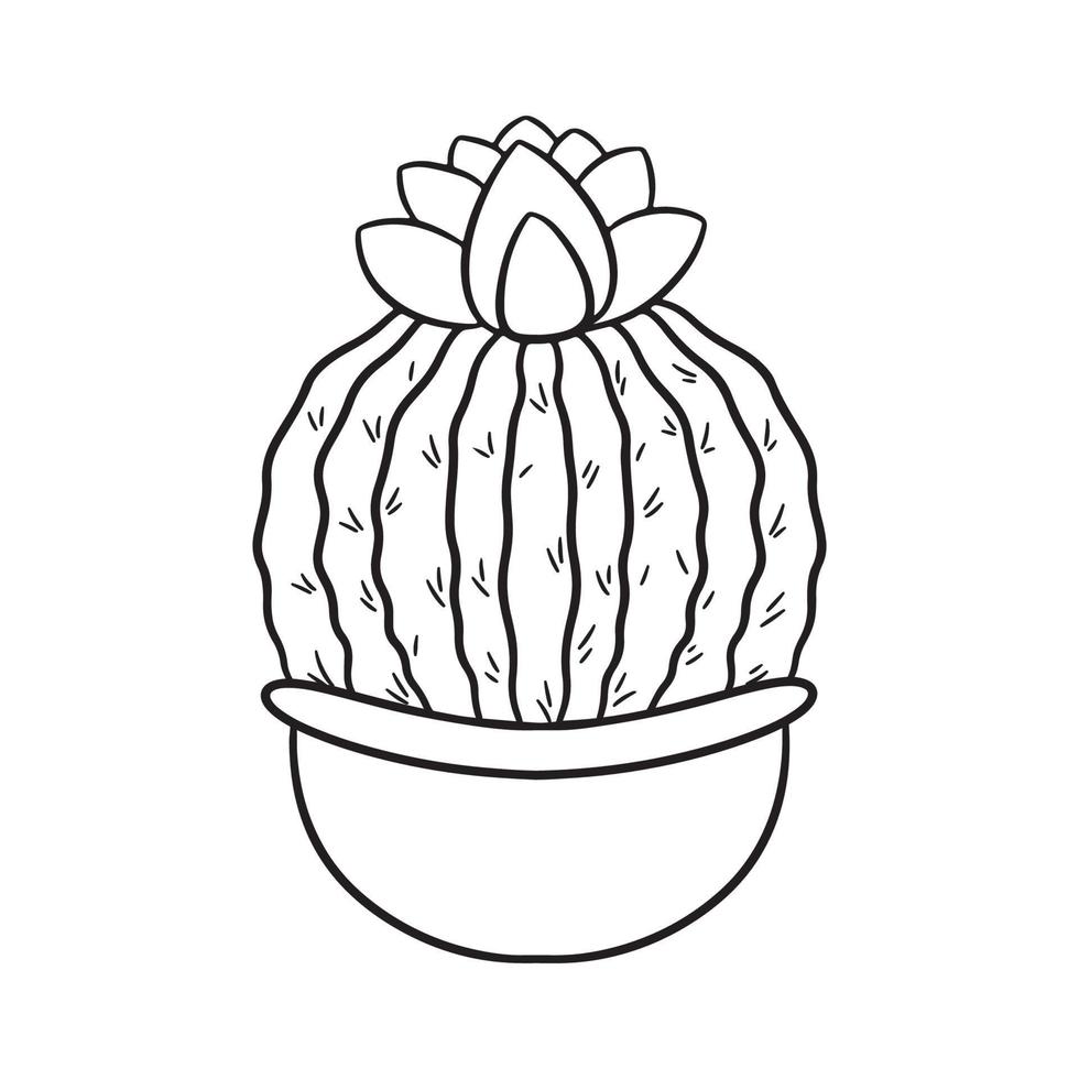 Hand drawn round flowering cactus in pot vector