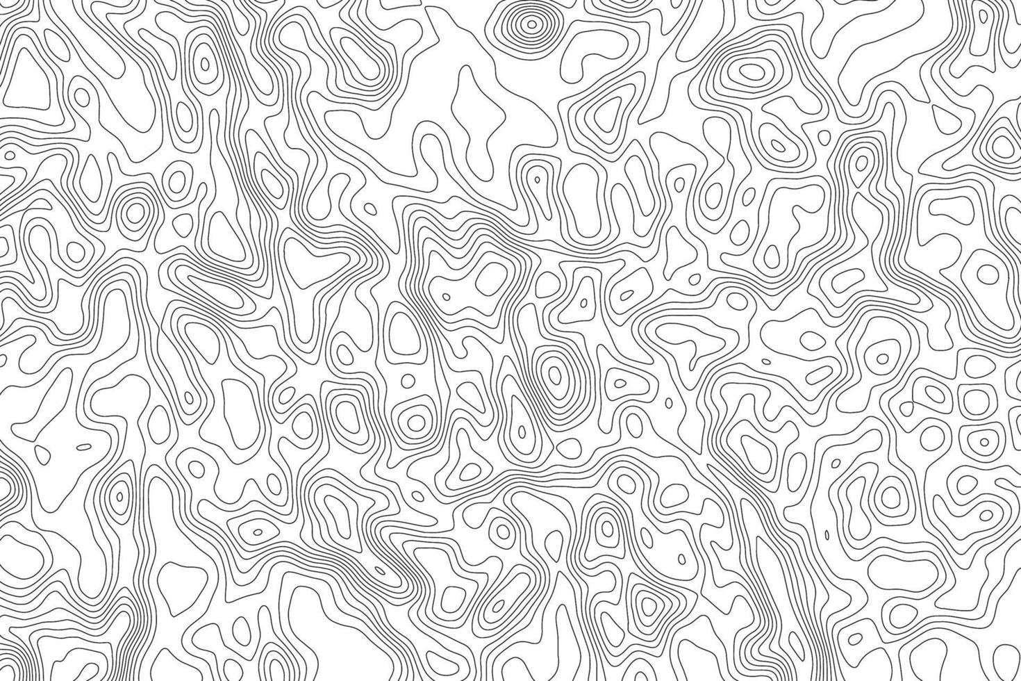 Vector topographic mp background.Shape contour line map of the terrain.