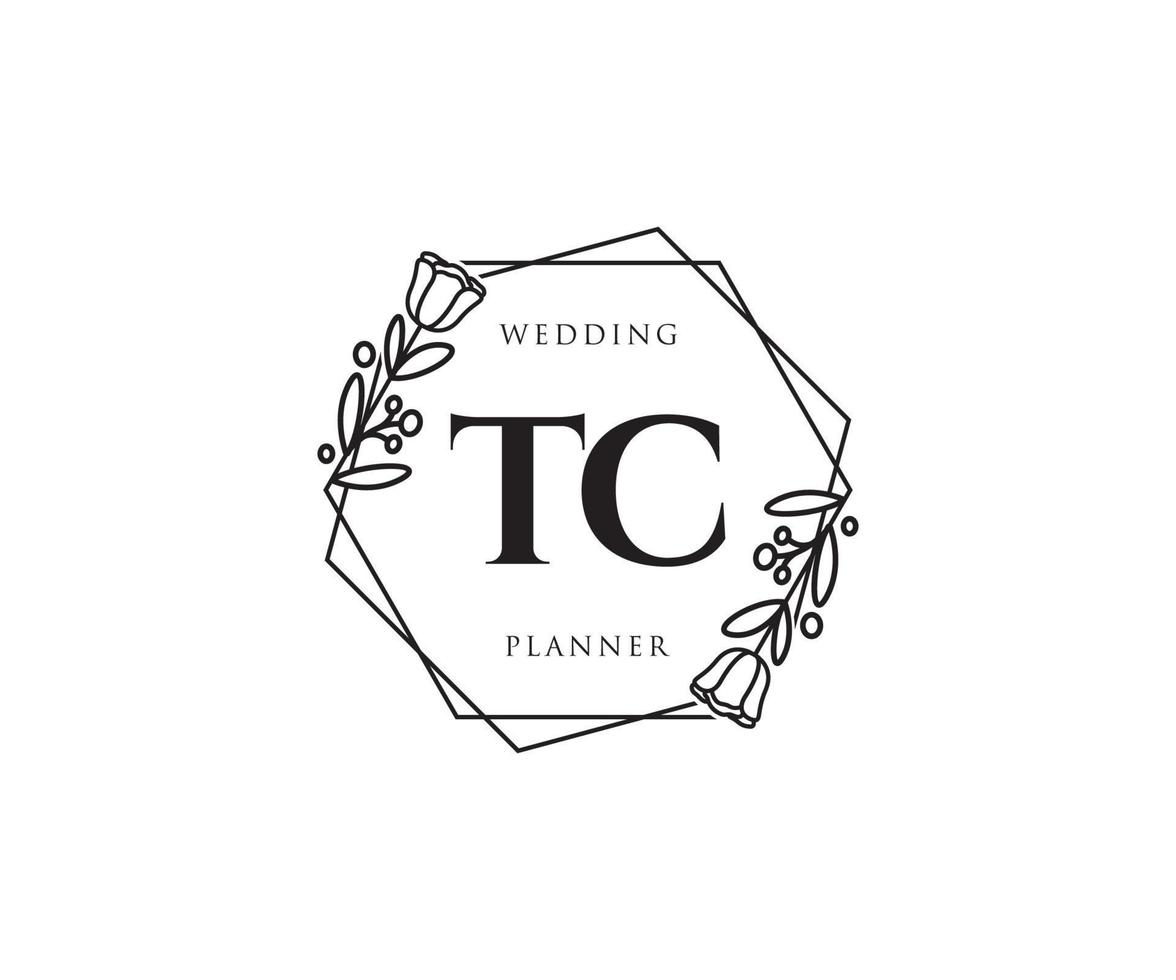 Initial TC feminine logo. Usable for Nature, Salon, Spa, Cosmetic and Beauty Logos. Flat Vector Logo Design Template Element.