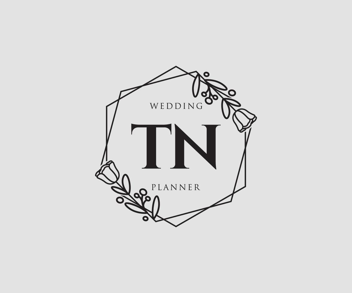 Initial TN feminine logo. Usable for Nature, Salon, Spa, Cosmetic and Beauty Logos. Flat Vector Logo Design Template Element.