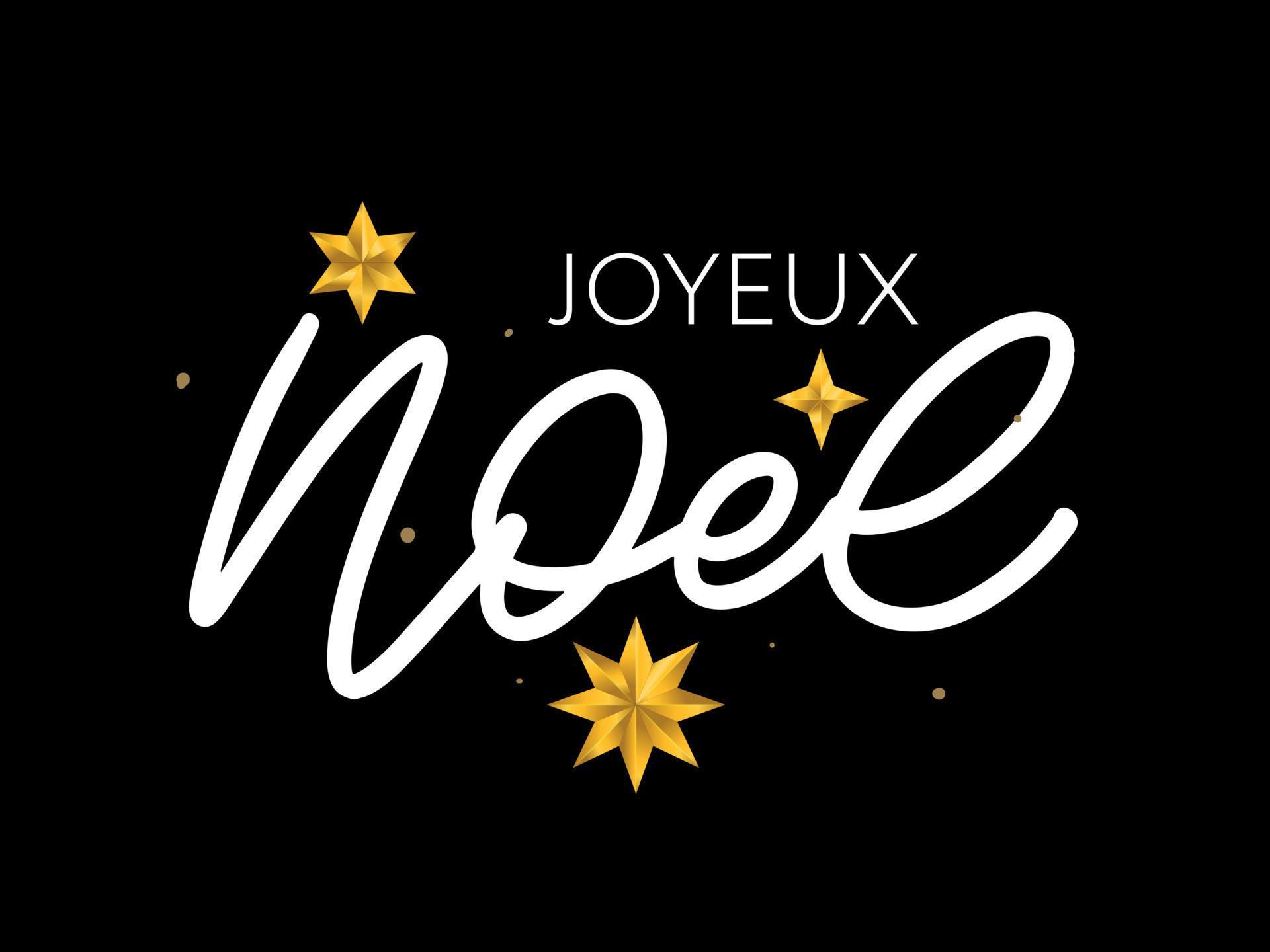 Merry Christmas in French language. Joyeux Noel modern brush vector