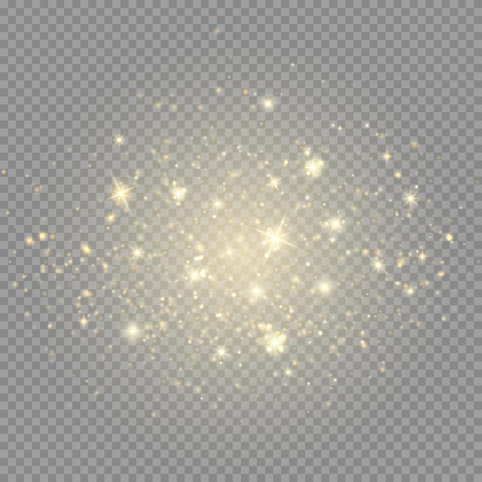 Golden bokeh lights with glowing particles isolated. vector