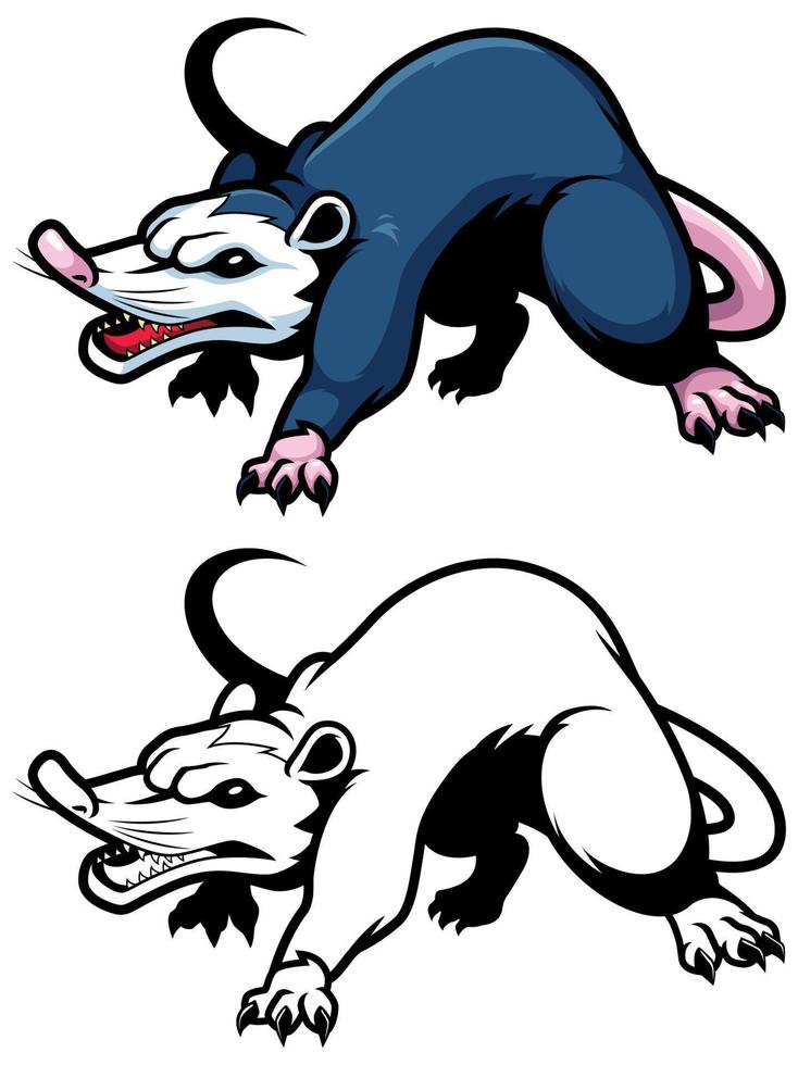 Possum on White vector